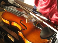 Fiddle